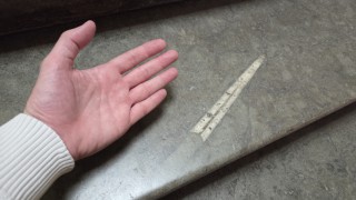 20260602_133723.jpg