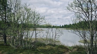 20260604_145206.jpg
